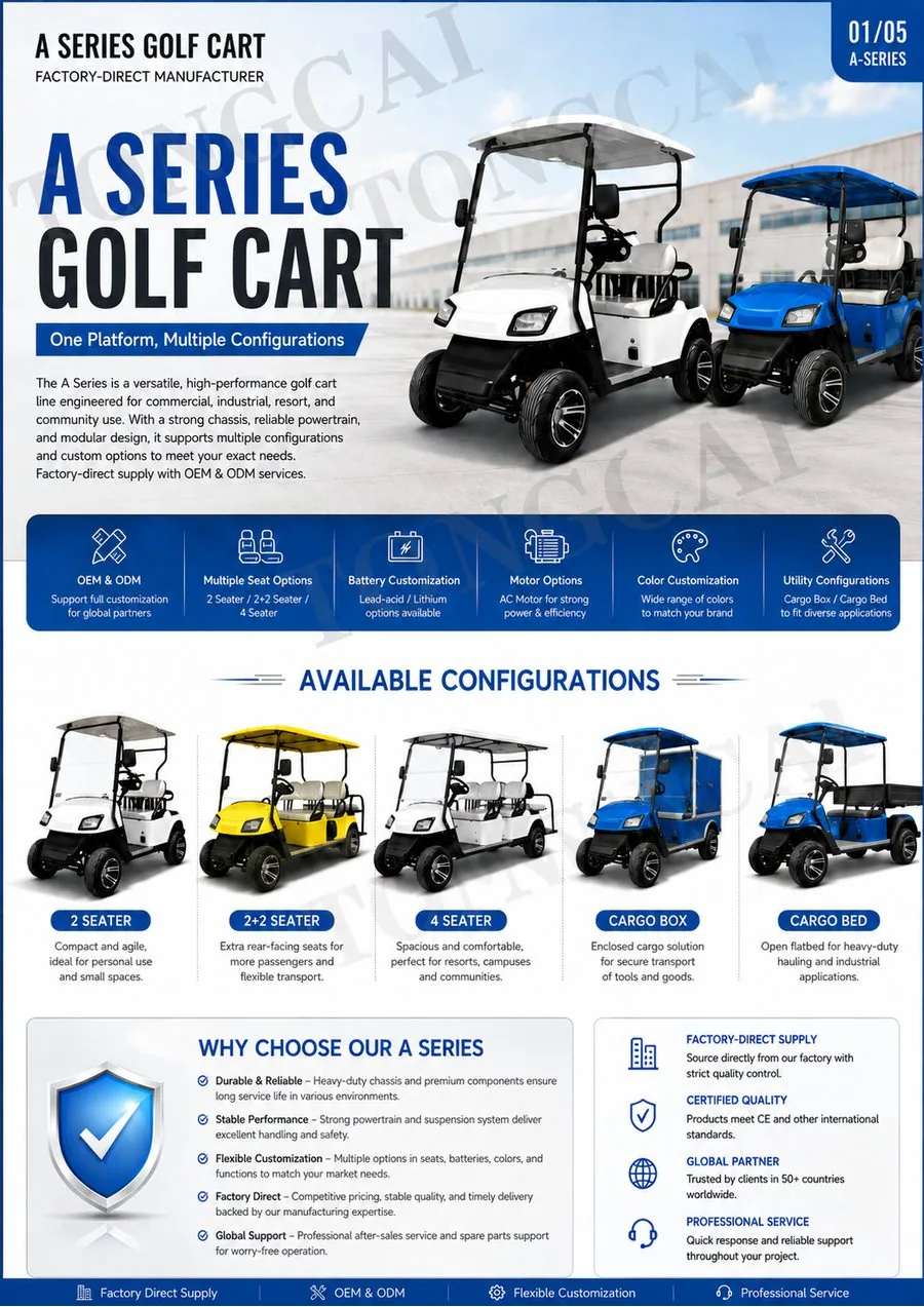 A Model electric golf cart overview for dealer and wholesale orders