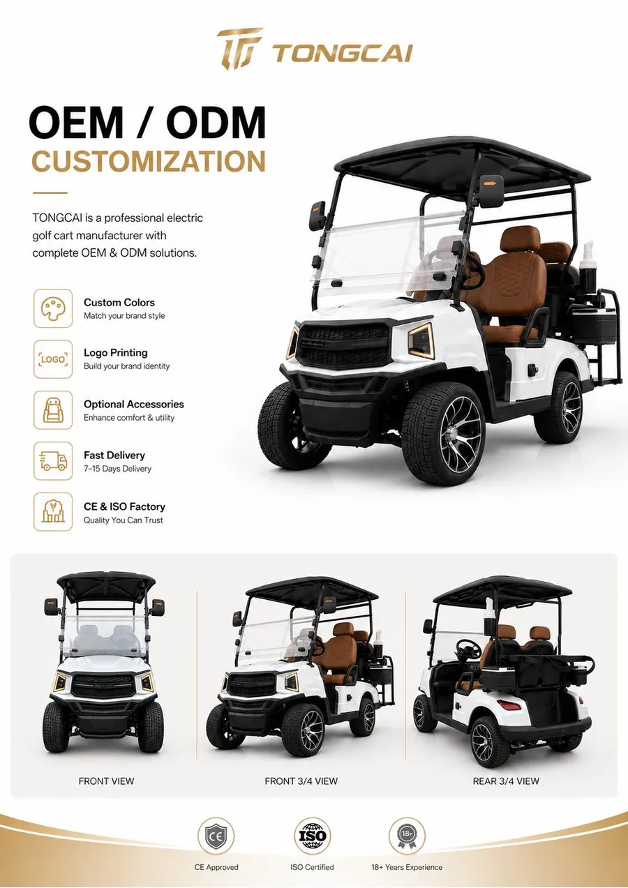 L Model passenger electric golf cart OEM overview