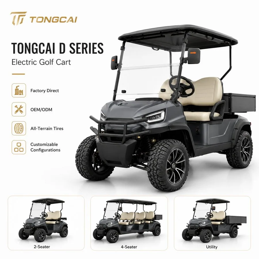 2 Seater Electric Golf Cart from TONGCAI factory